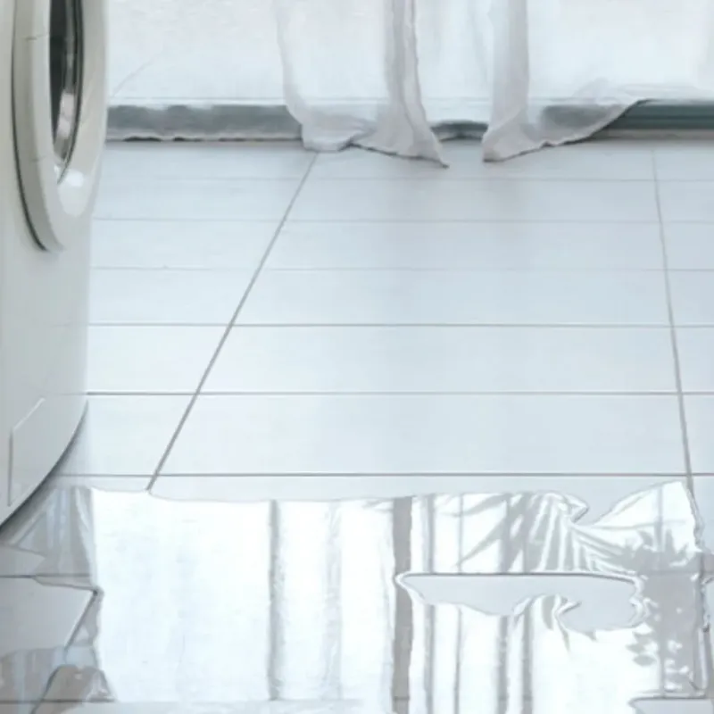Appliance Leak Cleanup in Madison County, VA