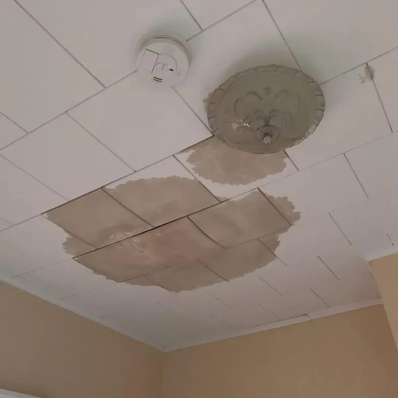 Ceiling Water Damage Repair in Madison County, VA
