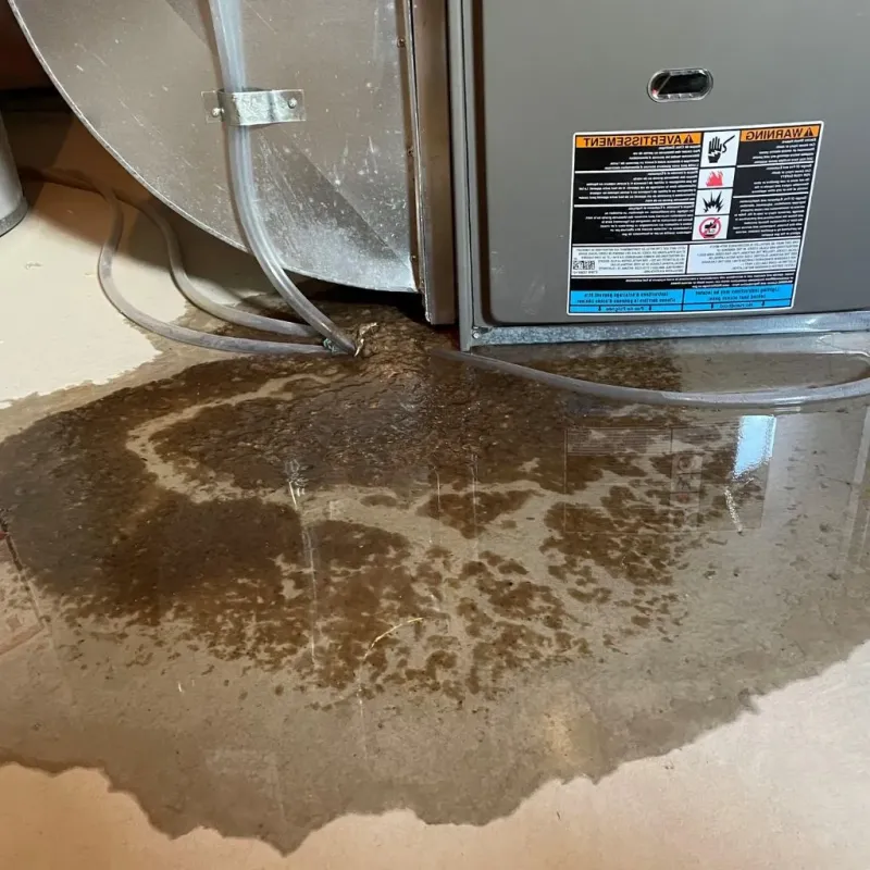 Pipe Burst and Leak Restoration in Madison County, VA